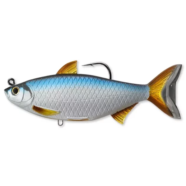 Livetarget Golden Shiner Swimbaits è un'esca artificiale efficace per la cattura di bass giganti e altri pesci predatori in acque poco profonde