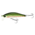 Il Lucky Craft Pointer 50 è un'evoluzione del celebre jerkbait giapponese, riprogettato per diventare un minnow per la pesca di trote e bass